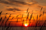 Fototapeta Natura - beautiful chesapeake bay colorful sunrise landscape in southern maryland calvert county usa