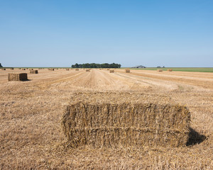 Poster - straw bales in agriculture country landscape of north groningen in the netherlands