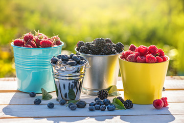 Wall Mural - fresh berries in bucket, summer harvest season