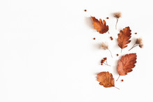 Autumn Composition. Dried Leaves, Flowers, Rowan Berries On White Background. Autumn, Fall, Thanksgiving Day Concept. Flat Lay, Top View, Copy Space