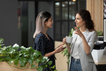 Wall Mural - Two young diverse business women talking during work break