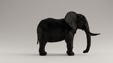 Fototapeta Zwierzęta - Black Large Elephant Front View 3d 