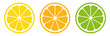 Citrus slice set. Lemon slice. Orange slice. Lime slice. Vector illustration