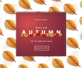 Wall Mural - Abstract colorful leaves decorated  background for Hello Autumn advertising header or banner design.