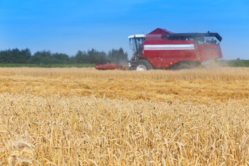 Wall Mural - combine harvester