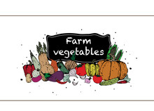 Farm Eco-friendly Vegetables. Natural Products From The Farm. Vector. Vintage Style.