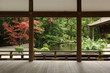 canvas print picture - Beautiful japanese garden in Kyoto (Kamigamo shrine)