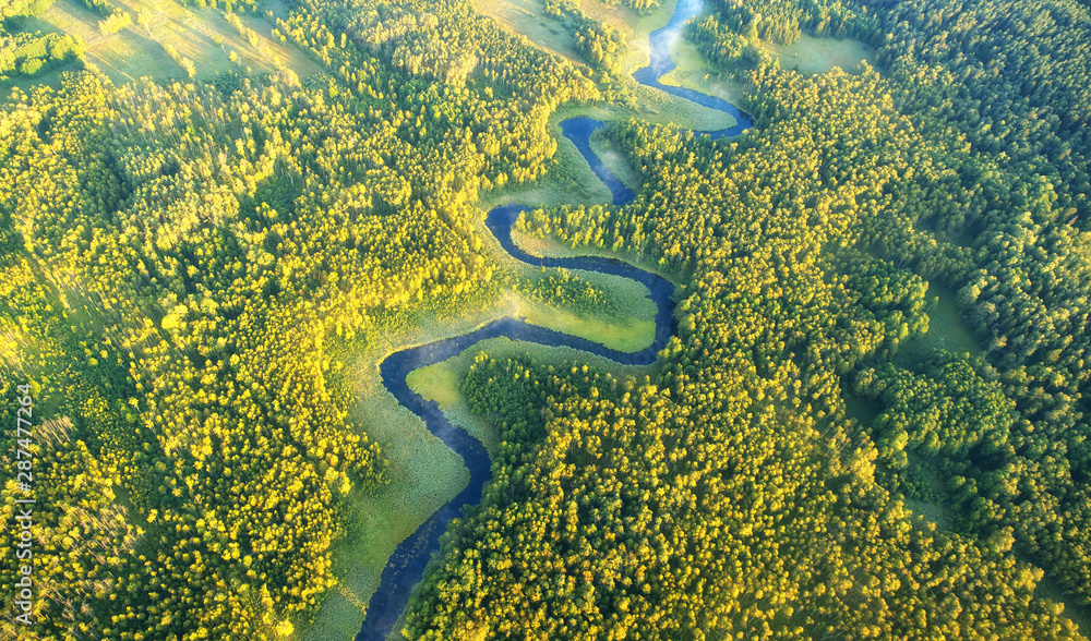 Wild river landscape from the drone - obrazy, fototapety, plakaty 
