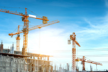 Wall Mural - Lots of tower Construction site with cranes and building with blue sky background