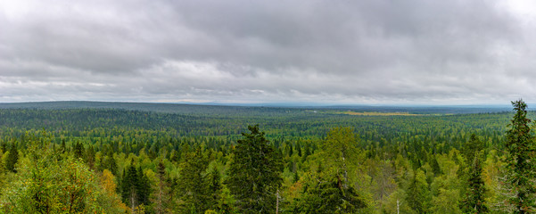 Wall Mural - Panorama of the forest. In the background, a mountain range. Gremyachinsky district, Perm Krai, Russia