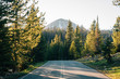Road and mountain in the Uinta Mountains, in Utah