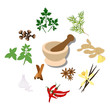 Spices and mortar illustration