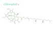 Molecular structure of Chlorophyll A
