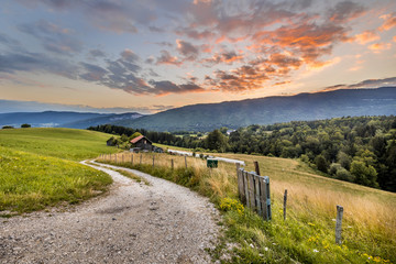 Wall Mural - Rural road in mountain landscape in French Alps