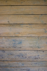 Wall Mural - Texture of an old wooden wall of boards with peeling beige paint