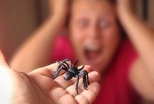 Spider In A Hand, Arachnophobia