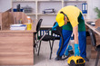 © Elnur - Young male contractor cleaning the office