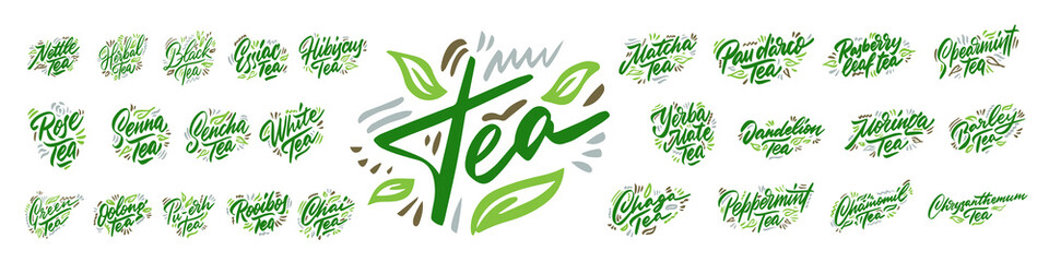 Wall Mural - Set of tea hand drawn illustration. Template for card banner and poster for restaurant menu and package. Vector illustration