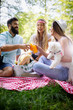 © NDABCREATIVITY - Group of friends having great time on picnic in nature