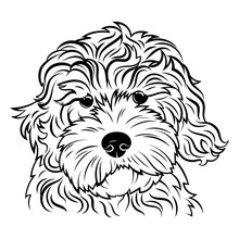 Portrait Of A Dog. Portrait Of The Breed Golden Doodle. Black White Illustration Of A Fluffy Dog. Print For Clothes. Doodle. Tattoo.