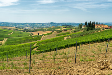 Wall Mural - Landscape in Chianti near Fucecchio at summer