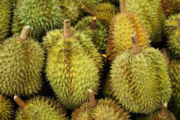 Sticker - Durian Fruit Background