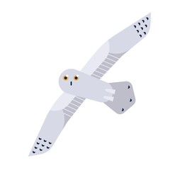 Wall Mural - Snowy Owl flat vector illustration