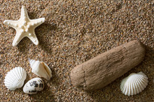 Top View Of A Sandy Beach With Starfish, Seashells And A Piece Of Driftwood - Close Up