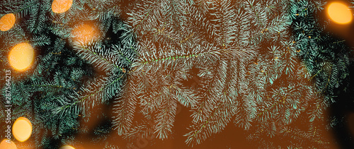 Christmas fir tree branches background Fototapete