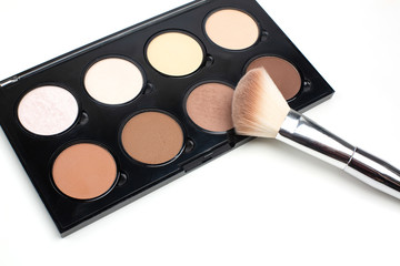 Wall Mural - Contouring palette with a brush