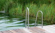 Schwimmteich - Biotop - Erholungsort für Alt und Jung