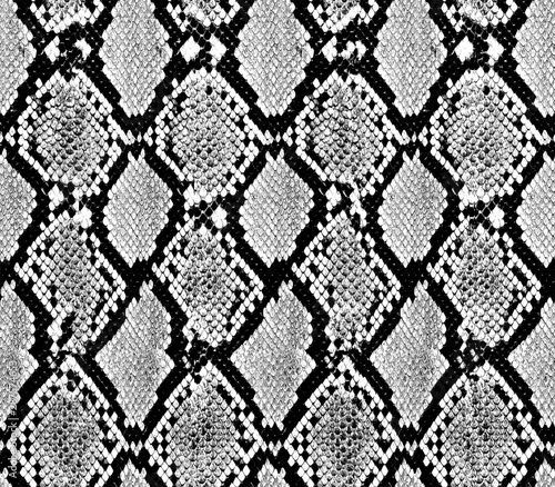 snake skin texture seamless pattern design