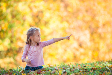 Adorable little girl at beautiful autumn day outdoors