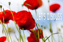 Writing Note Showing Let S Discuss. Business Concept For Asking Someone To Talk About Something With Demonstrating Or Showing Front View Summer Red Color Poppy Flowers Sky Background