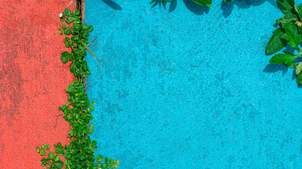 Sticker - green creeper plant on red and blue cement floor. - background with copy space.