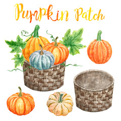 Wall Mural - Watercolor pumpkins illustration. Hand painted ripe autumn vegetables in a wicker rustic basket, isolated on white background. Harvest fall clipart for thanksgiving greetings. Farm garden elements.