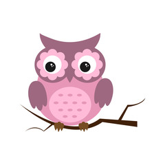 Owl night bird with big eyes. Colorful illustration