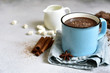Hot chocolate - winter spicy drink.