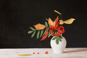 Wall Mural - still life with rowan berries on  dark background