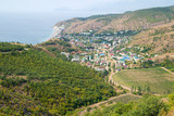 Fototapeta  - Beautiful vineyards in the mountains of Crimea overlooking the sea