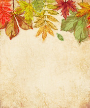 Textured Surface Decorated With Autumn Leaves. Seasonal Design For Advertisement, Cards, Announcement, Letterhead, Banners, Etc.