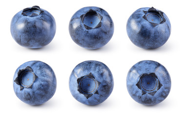 blueberry isolated. blueberry on white background. bilberry. clipping path.