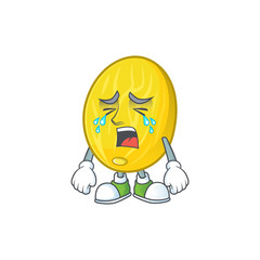 Wall Mural - Crying fruit melon cartoon character with mascot