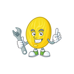 Canvas Print - Mechanic melon cartoon character for health mascot