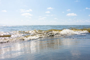 Canvas Print - mare schiuma spiaggia