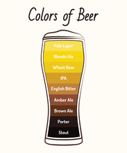 Colors Of Beer Infographic.