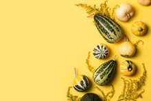 Pumpkins And Squash Different Vegetables On Yellow Background Flat Lay