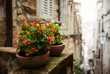 Fototapeta Uliczki - flowerpots on the background of the old city