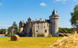 Castle Chateau de la Brede. Gironde. France