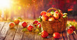 Apples in a Basket Outdoor. Sunny Background